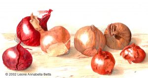 "Just Onions" - a still life painting by Leone Annabella Betts